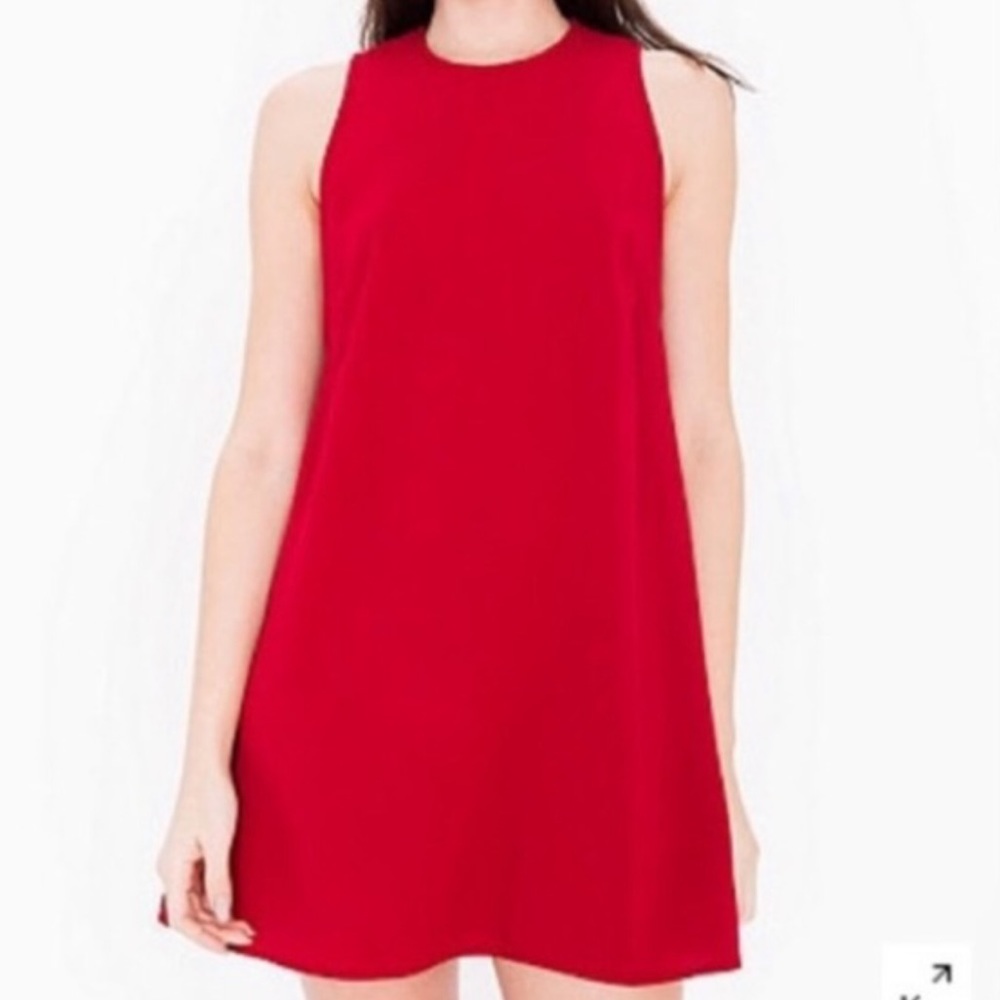 AMERICAN APPAREL dress